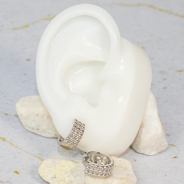 ARETES "Fuerza Serena" - Imagen 2